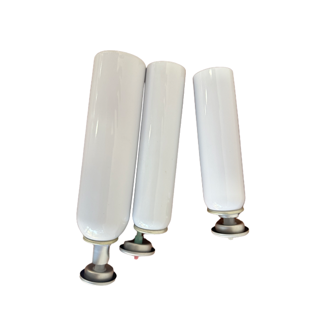 machine automatique de remplissage et de bouchage de bouteilles