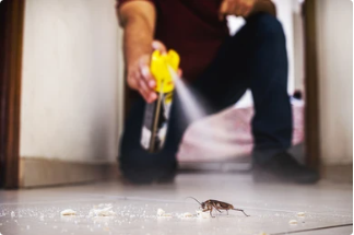 Solvants d'insecticide d'aérosol que vous devriez savoir