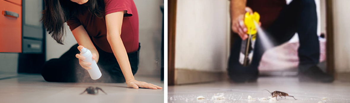 insecticide-a&eacute;rosol