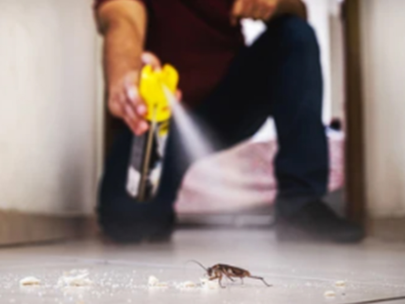 Machines et solutions de production et de remplissage d'insecticides